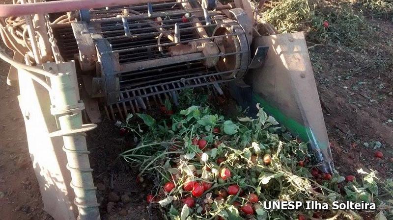 conird_2014 (13).jpg